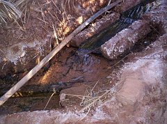 TIMIMOUN DECEMBRE 2004 N031 AVEC DES SEGUIAS D IRRIGATION